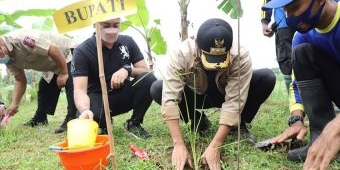 Antisipasi Banjir dan Longsor, Bupati Tuban Tanam Rumput Vetiver di Bantaran Kali Kening