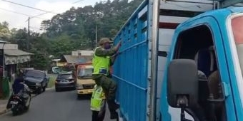 Cegah Penyebaran Virus PMK, Polres Batu Terus Gencarkan Razia Kendaraan Pengangkut Ternak