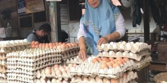 Harga Telur Melambung, Warga Blitar Beralih ke Telur Bentesan