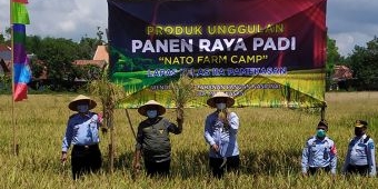 Dukung Ketahanan Pangan Nasional, Lapas Kelas IIA Pamekasan Gelar Panen Raya Padi