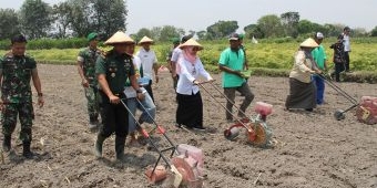 Sinergi Wujudkan Ketahanan Pangan Nasional yang Kokoh