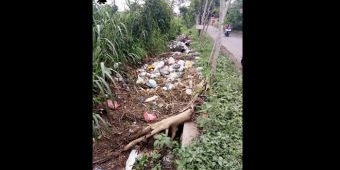 Kesadaran Warga Rendah, Sampah Pembalut Kotori Perumahan Gardenia Malang