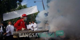 Kasus DBD di Jombang Meningkat, Tahun 2016, 11 Nyawa Melayang