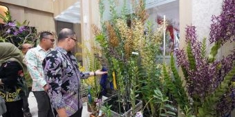 Batu Shining Orchid Week 2024, Bikin Kota Batu Jadi Perhatian Pecinta Anggrek Tanah Air