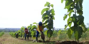 SIG Kenalkan Metode Pengelolaan Lingkungan di Jatim Environment Exhibition & Forum 2022