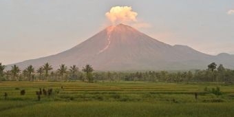 Erupsi Gunung Semeru: Menyingkap Kisah Tragis Aktivis Soe Hok Gie di Gunung Semeru