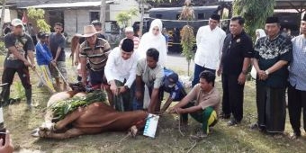 ​Polda Jatim dan Polres Pamekasan Kurban 29 Sapi di Hari Raya Idul Adha 1440 H