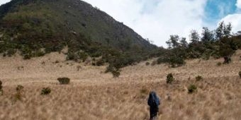 Cuaca Ekstrem, Jalur Pendakian Gunung Lawu Ditutup