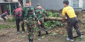 Pascaputing Beliung di Krian, Polisi dan TNI Kerja Bakti Bersama Warga