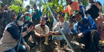 GP Ansor Kediri Gandeng Relawan, Tanam Pohon di Sumber Kajar