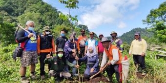 ​Gandeng ARPLH Kediri, LAZ Al Azhar Tanam 400 Pohon di Lereng Kelud