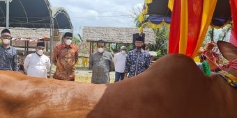 Hadiri Peluncuran Pusat Riset Sapi Madura, ​Muhammad Ali Ridha Minta Pertahankan Kearifan Lokal