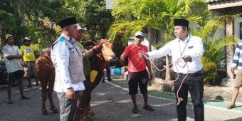 ​Peringati Idul Adha 1440 H, PT PLN UP3 Pamekasan Kurban 12 Sapi dan 4 Kambing