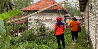 Pohon Tumbang Timpa Sebuah Rumah di Pamekasan, 3 Orang Terluka