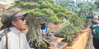 Meriahkan Hari Jadi ke-1220 Kabupaten Kediri, PPBI Gelar Pameran dan Kontes Bonsai Nasional