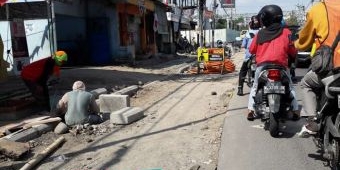 Proyek Box Culvert DPU TR Gresik Korbankan Pohon Teduh Kota