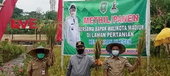 Kabar Gembira dari Wali Kota Madiun, Subsidi Pupuk Hingga Rp1 M akan Diberikan untuk Petani