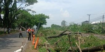 Pasca Hujan Deras, Dinas PU Bina Marga Pasuruan Data Infrastruktur yang Rusak