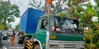 Truk Trailer Muat Makanan Kecil di Pemekasan Tertimpa Pohon Tumbang