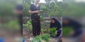 Ubah Lahan Kosong Jadi Tempat Bertanam, Anggota KWT Putri Wilis Laksanakan P2L