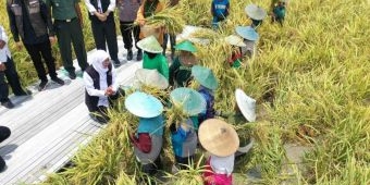 Gubernur Khofifah Sabet Penghargaan Adhikarya Nararya Pembangunan Pertanian