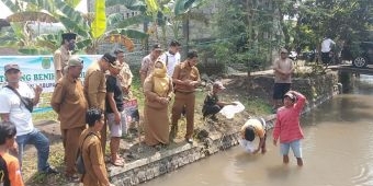 Jaga Ekosistem Air, Dinas Perikanan Pasuruan Tebar 35 Ribu Benih Ikan di Perairan Umum