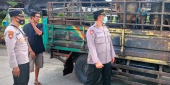 Saat Memeriksa Hewan Ternak di Perbatasan Wilayah, Polsek Kunjang Kediri Temukan ini