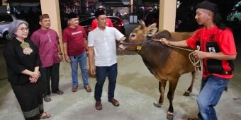 Rayakan Idul Adha 1444 H, Indah Kurnia Bagikan Puluhan Kambing dan Sapi