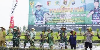 Wujudkan Ketahanan Pangan, Danrem 081/DSJ dan Forkopimda Ngawi Kompak Terjun ke Sawah Tanam Padi