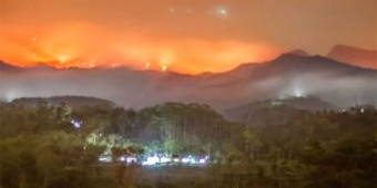 Karhutla di Lereng Gunung Hyang Argopuro, BPBD Jember Kirim 2 Tim ke Lokasi dan Dirikan Pos Pantau