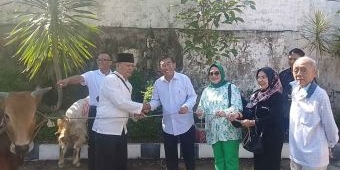 Unipra Surabaya Sembelih 2 Sapi dan Seekor Kambing pada Idul Adha 2024