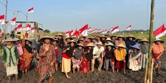 Mas Dion Hadirkan Nasionalisme di Tengah Sawah, Upacara Bendera Bersama Petani Masangan