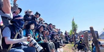 Budaya Kerapan Sapi Brujul jadi Perhatian Fotografer Mancanegara