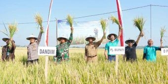 Bukti Berhasilnya Kemitraan dengan Uni Eropa, Pemkab Madiun Gelar Panen Raya