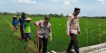 Tingkatkan Ketahanan Pangan, Bhabinkamtibmas Polsek Jogorogo Lakukan Gropyokan Tikus Bersama Petani