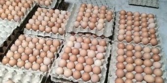 Jelang Akhir Tahun, Harga Telur di Kota Blitar Tembus Rp 25 Ribu per Kg