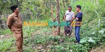 Camat Pasrepan Tinjau Kebun Durian Montong dan Musang King Milik di Desa Tempuran