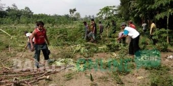 Rebutan Lahan Garapan Milik TNI AU di Ponggok Blitar, Dua Kubu Warga Penggarap Nyaris Bentrok