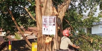  Poster Ajakan Coblos Kotak Kosong Bertebaran di Kabupaten Gresik