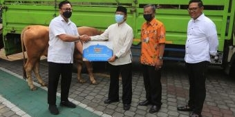  Pelindo Regional 3 Salurkan 86 Sapi dan 13 Kambing Kurban