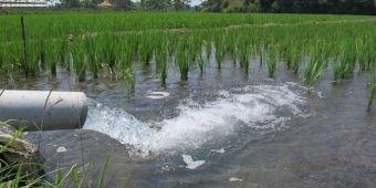 Jutaan Liter Air Tanah Terbuang Percuma, ICRAF Minta Ada Tata Kelola Sumur Bor di DAS Rejoso