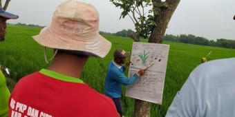 Dorong Petani Mandiri, EMCL Adakan Program Sekolah Lapang Pertanian