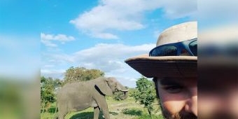 ​Selfie Bareng Gajah Liar, Tewas Dipelukan Pacar