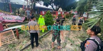 Hujan Disertai Angin Robohkan Pohon Beringin di Alun-Alun Kota Blitar