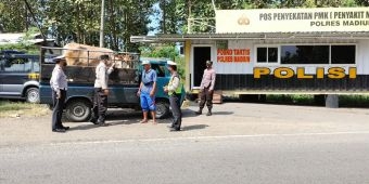 Angkut Hewan Masuk Wilayah Kabupaten Madiun Wajib Punya SKKH