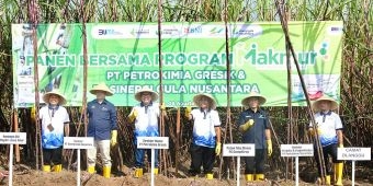 Melalui Program Makmur Menteri BUMN, Petrokimia Gresik Berhasil Makmurkan 21 Ribu Lebih Petani