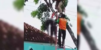 Pemangkas Pohon di Pamekasan Tewas Kesetrum