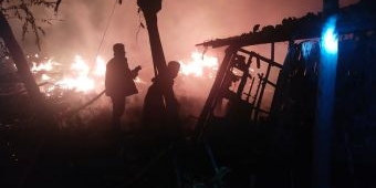 Kandang Peternakan Sapi dan Kambing di Benjeng Gresik Terbakar Hebat Tengah Malam