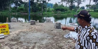 Pohon Miri di Pulau Kecil Sumber Complang Ditebang Demi Pengembangan Wisata