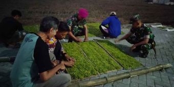 Sempat Terbengkalai, Gudang Tembakau Kini Jadi Tumpuan Petani Tuban